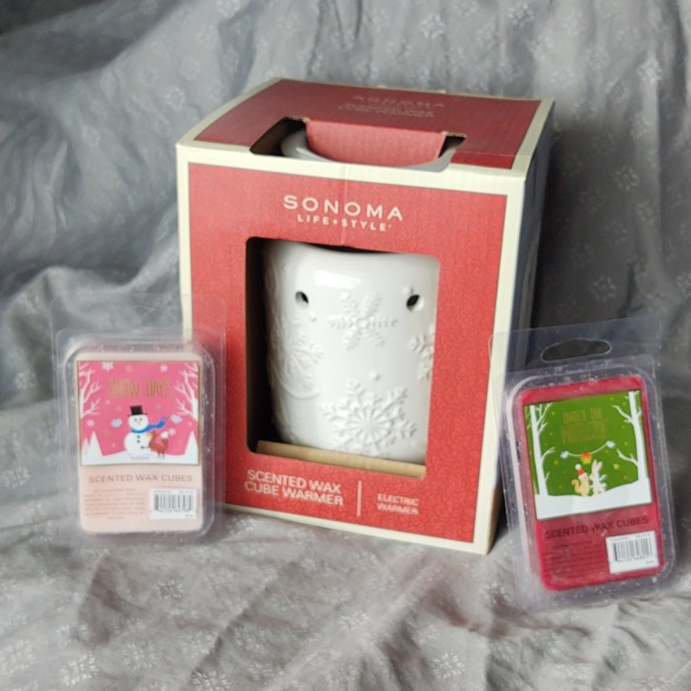 Electric scented cube warmer